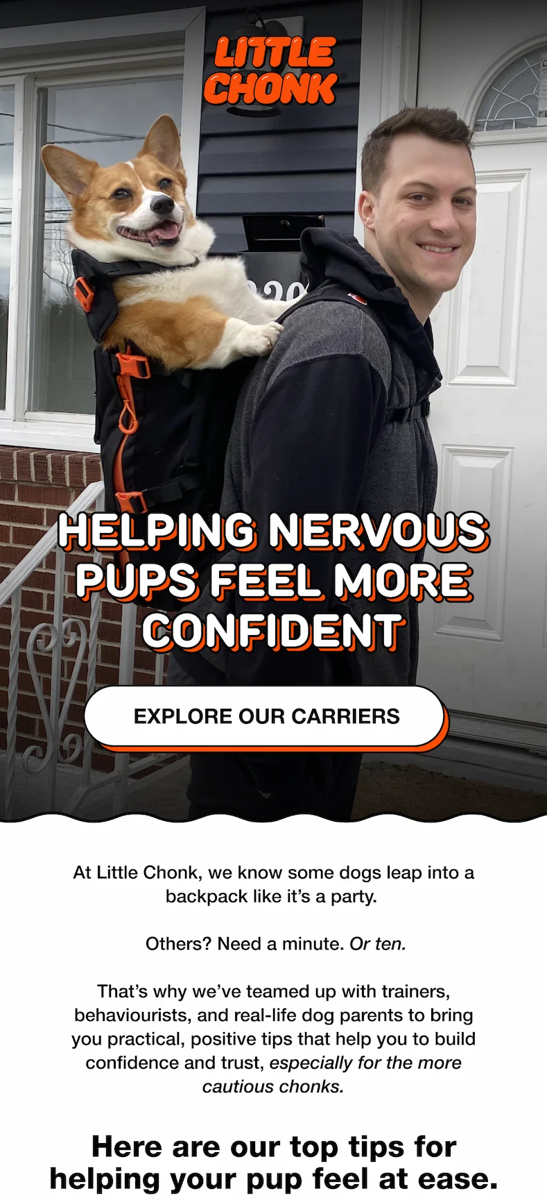 Helping nervous pups feel more confident
