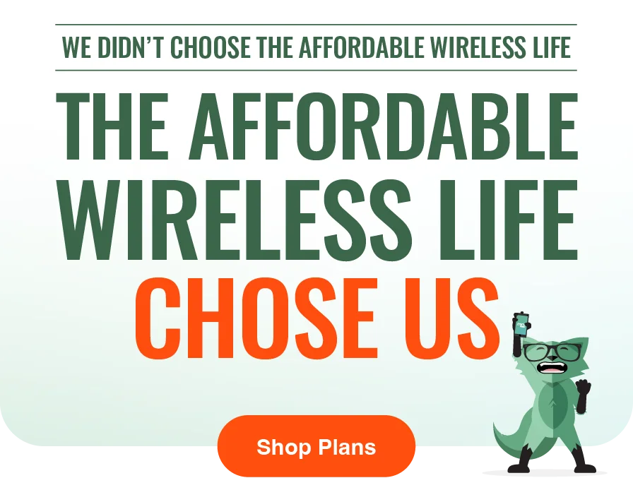 We didn't choose the affordable wireless life - The affordable wireless life chose us