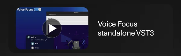 Voice Focus standalone VST3