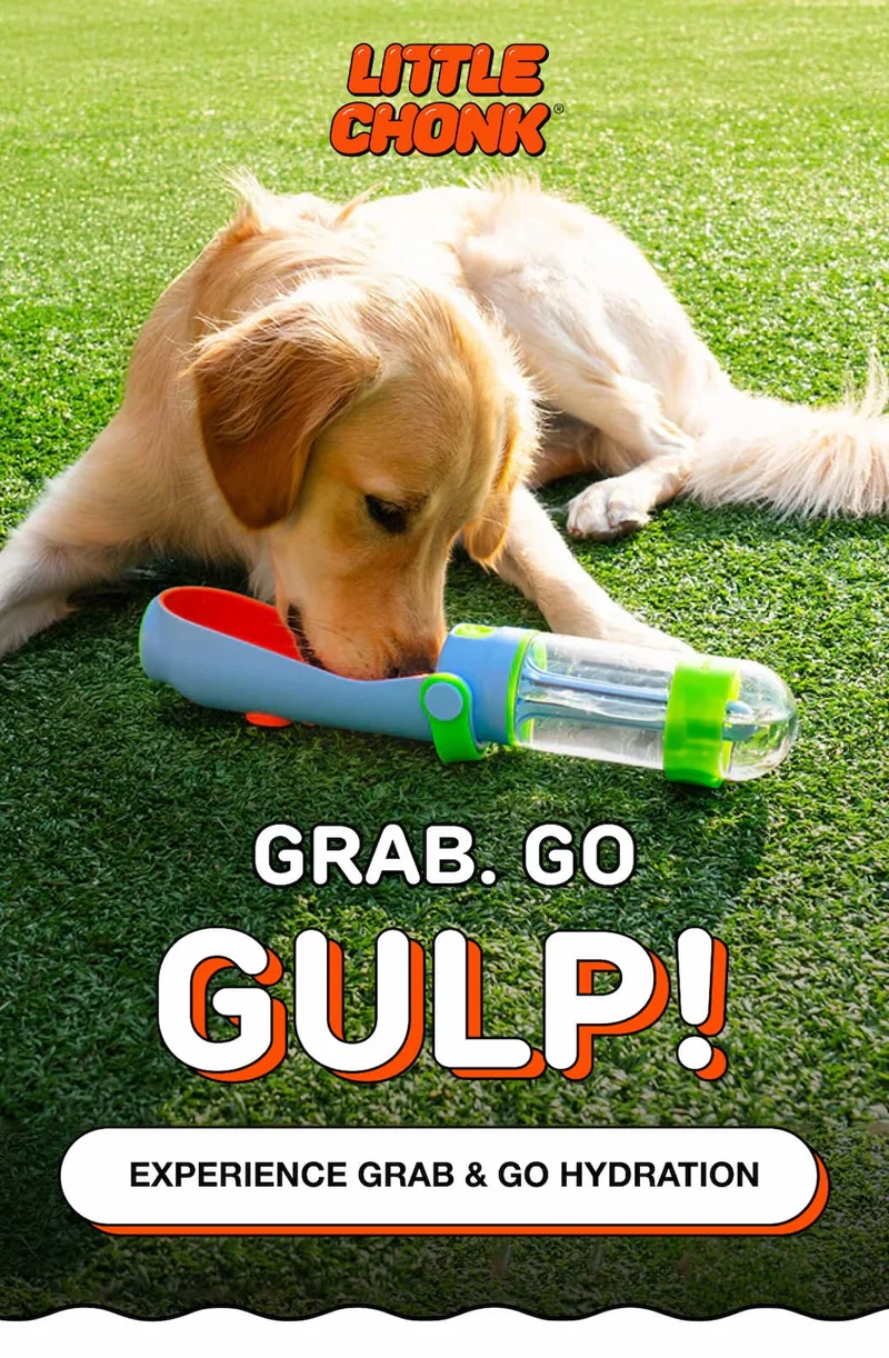 GRAB. GO GULP!