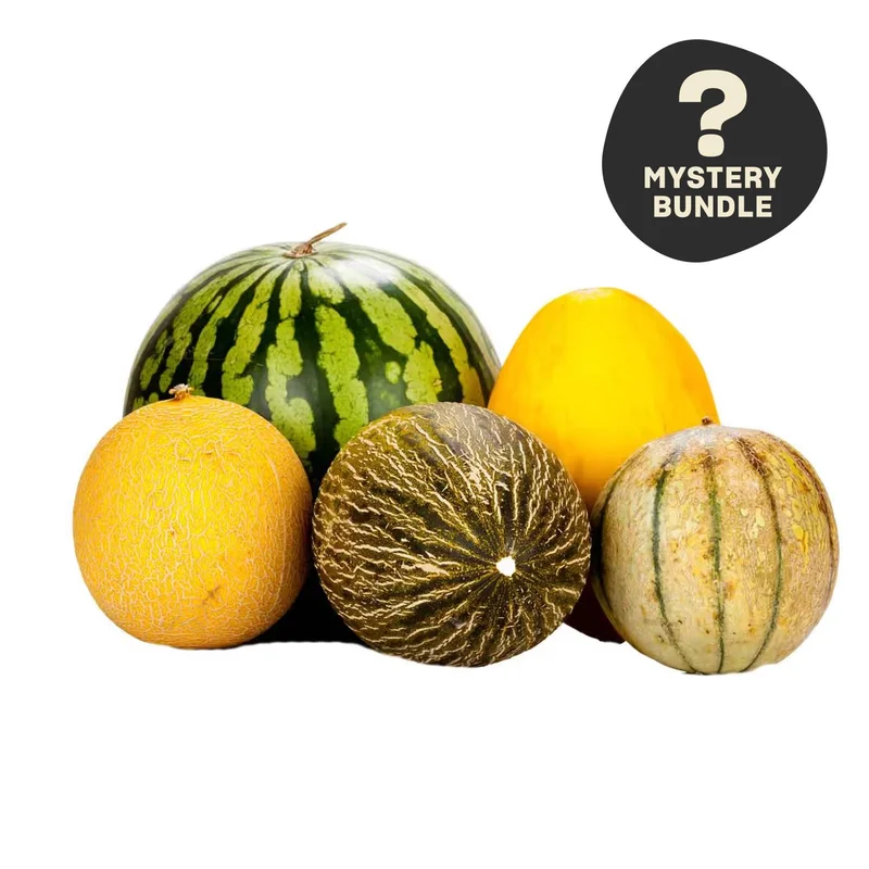 Season's Best Mystery Melon