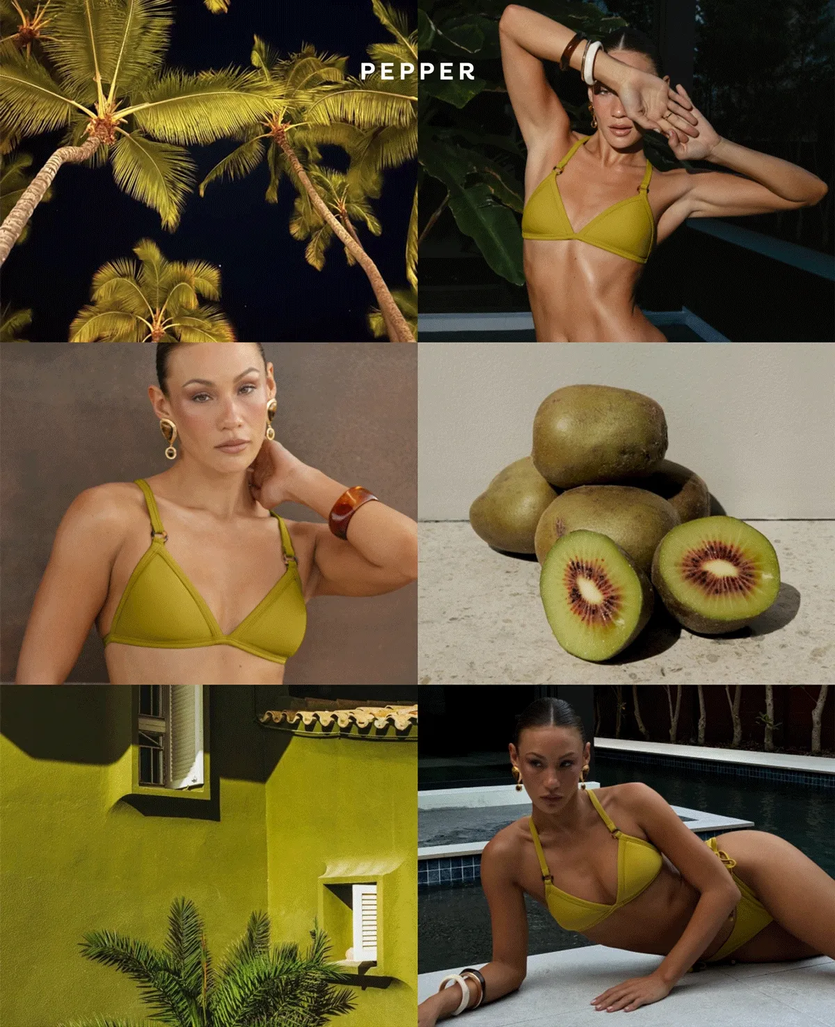 Hot Tropics: Zest and Tigris