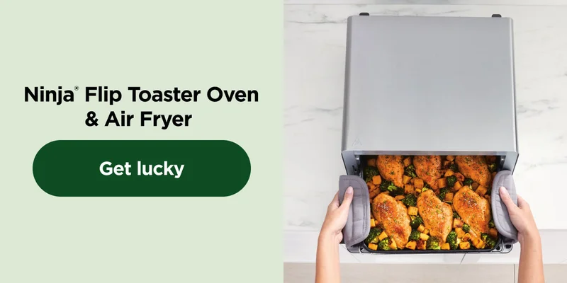 Ninja® Flip Toaster Oven & Air Fryer