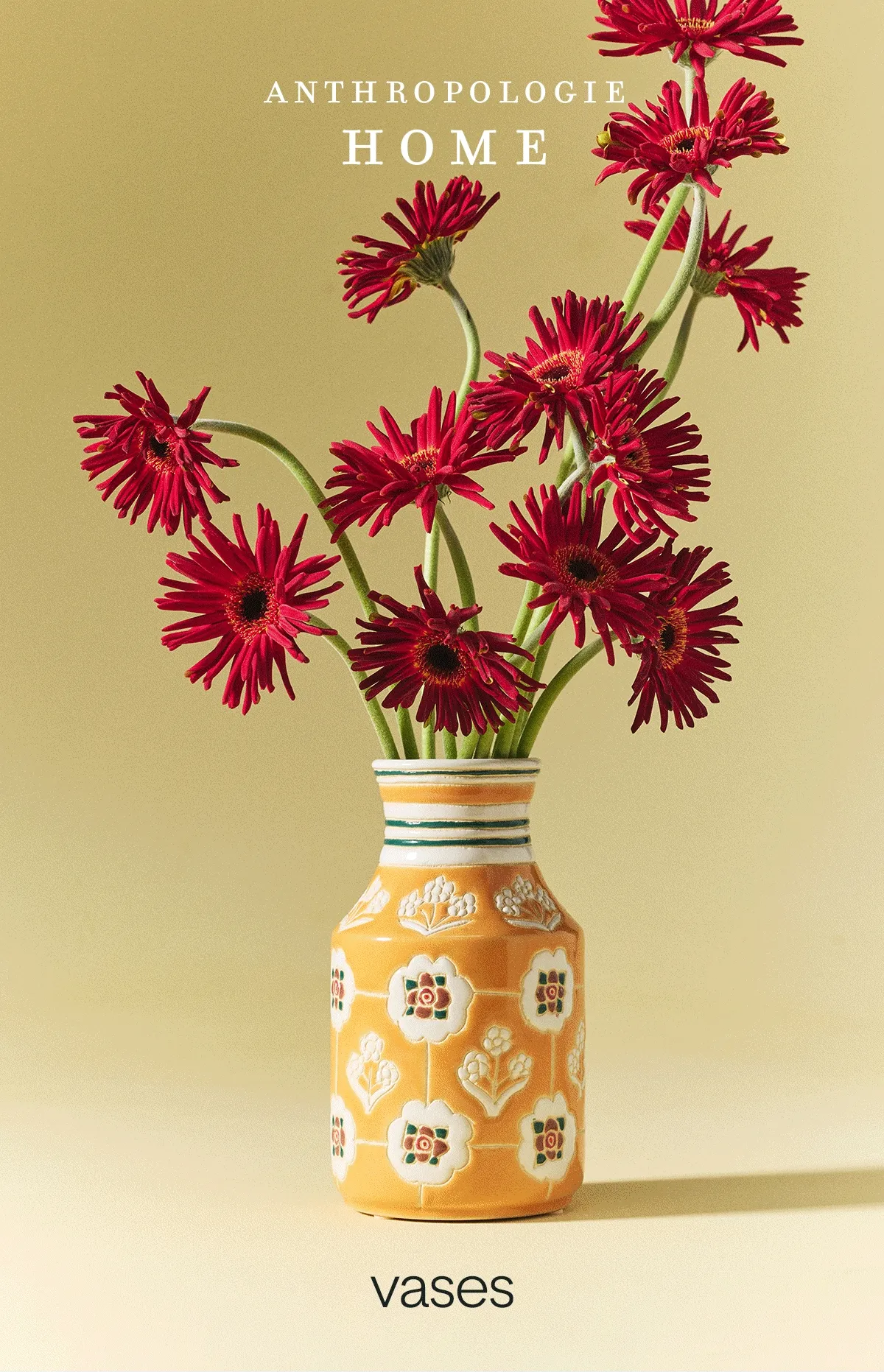 anthropologie home vases