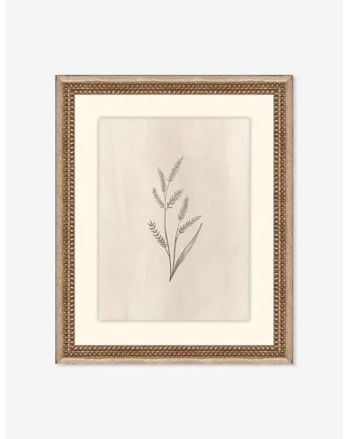 Elegant Botanical II Wall Art by Makai Howell-14" x 17"