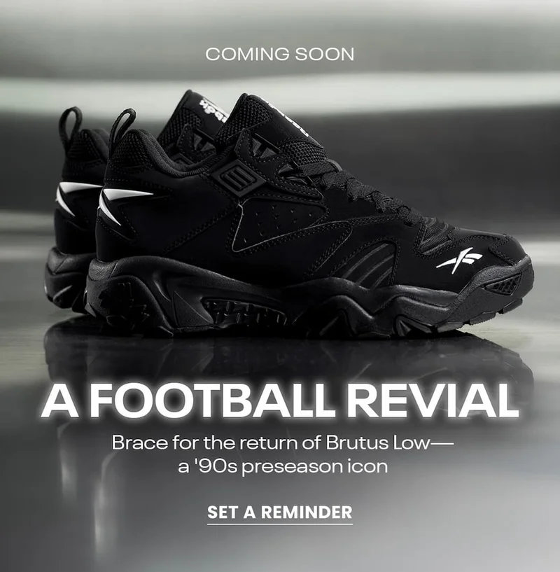 Set A Reminder for Brutus Low