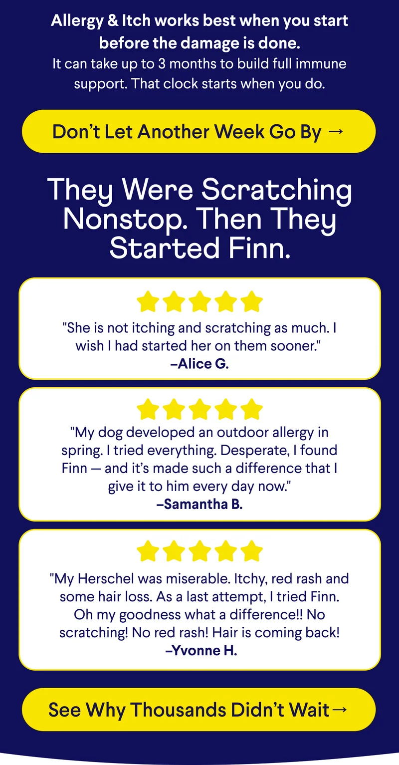 TEXT: Allergy & Itch works best when you start before the damage is done. It can take up to 3 months to build full immune support. That clock starts when you do.  Don’t Let Another Week Go By → They Were Scratching Nonstop. Then They Started Finn. "She is not itching and scratching as much. I wish I had started her on them sooner."  –Alice G. "My dog developed an outdoor allergy in spring. I tried everything. Desperate, I found Finn — and it’s made such a difference that I give it to him every day now." –Samantha B.  "My Herschel was miserable. Itchy, red rash and some hair loss. As a last attempt, I tried Finn. Oh my goodness what a difference!! No scratching! No red rash! Hair is coming back!  –Yvonne H.  CTA: See Why Thousands Didn’t Wait→
