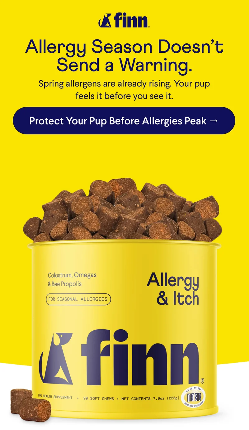 Finn logo. Text: Allergy Season Doesn’t Send a Warning.  Spring allergens are already rising. Your pup feels it before you see it. CTA: Protect Your Pup Before Allergies Peak →