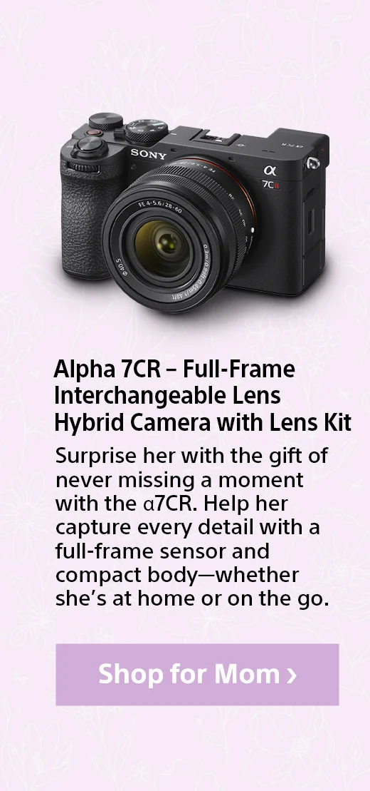 FE 24-70 mm F2.8 GM Full-frame Standard Zoom G Masters Lens