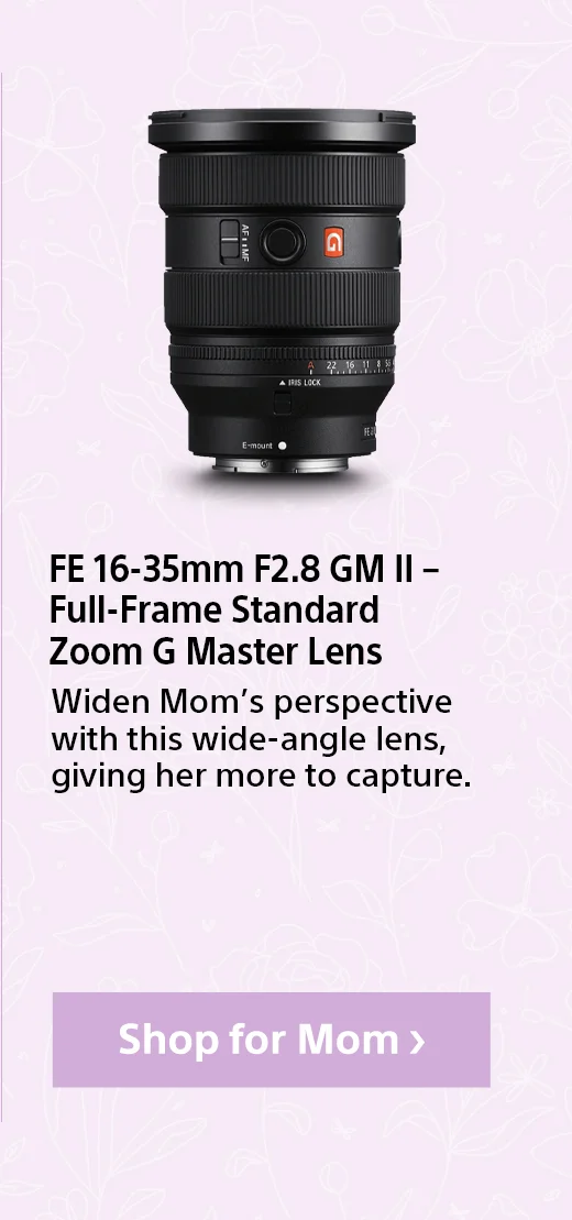 FE 70-200 mm F2.8 GM OSS Full-frame Telephoto Zoom G Masters Lens