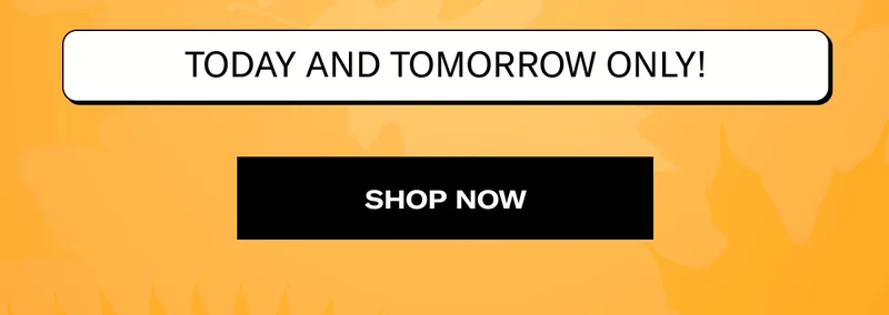 TODAY AND TOMORROW ONLY! | SHOP NOW