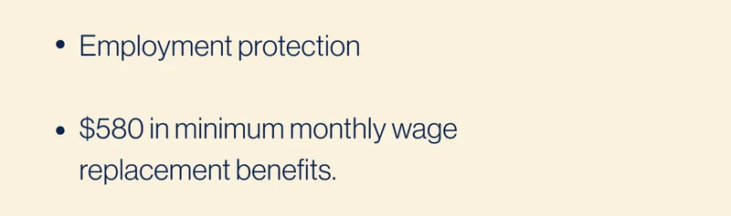 Up to 12 weeks of paid leave  Employment protection  $580 in minimum monthly wage replacement benefits.