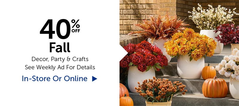 40% Off Fall - Decor, Party & More