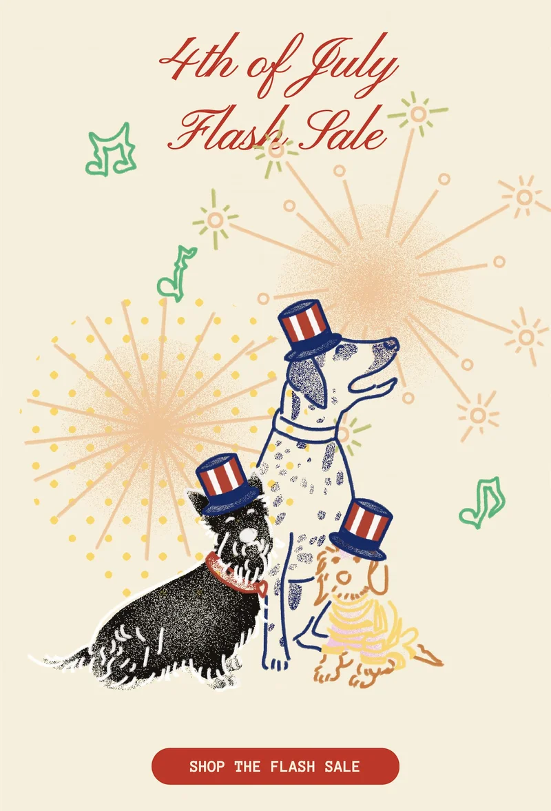 4th of July Flash Sale