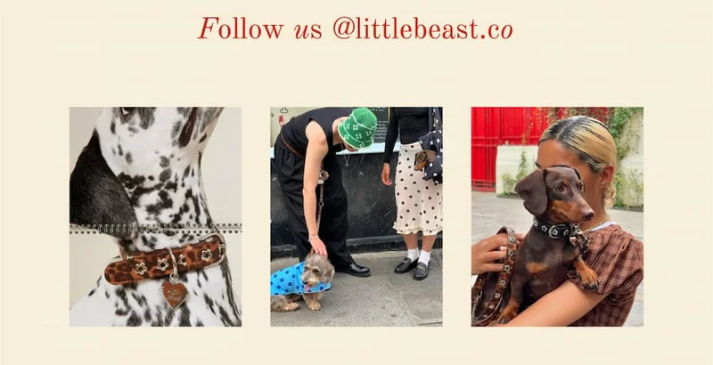 Follow us on Instagram