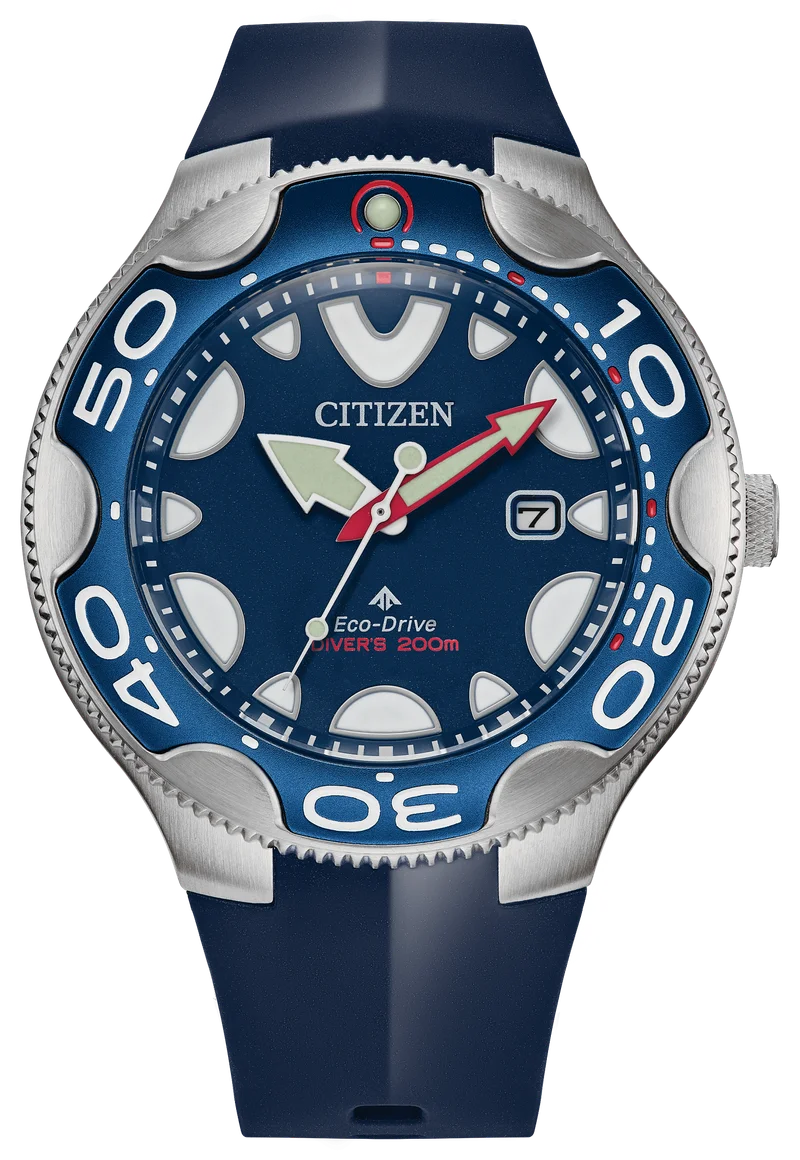 Image of Promaster Dive