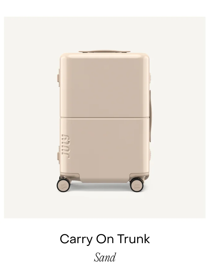 Carry On Trunk