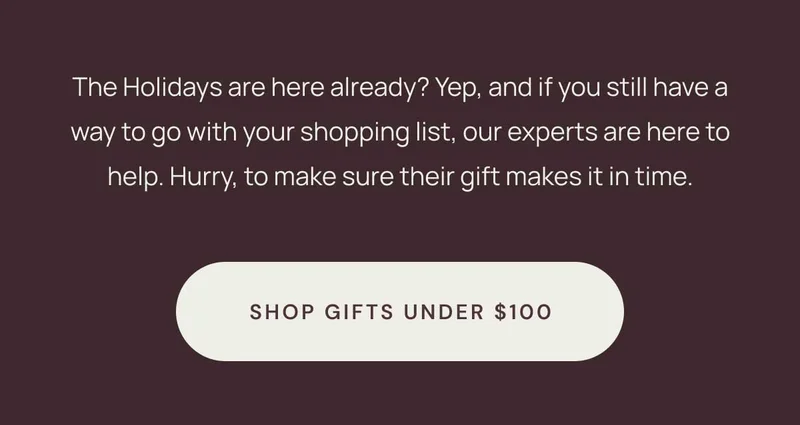 The Holidays are here already? Yep, and if you still have a way to go with your shopping list, our experts are here to help. Hurry, to make sure their gift makes it in time. Shop Gifts Under $100