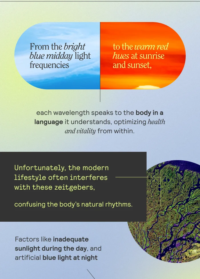 From the bright blue midday light frequencies to the warm red hues at sunrise and sunset, each wavelength speaks to the body in a language it understands, optimmizing health and vitality from within. Unfortunately, the modern lifestyle often interefres with these zeitgebers, confusing the body's natural rhythms. Factors like inadequate sunlight during the day, and artificial blue and light at night.