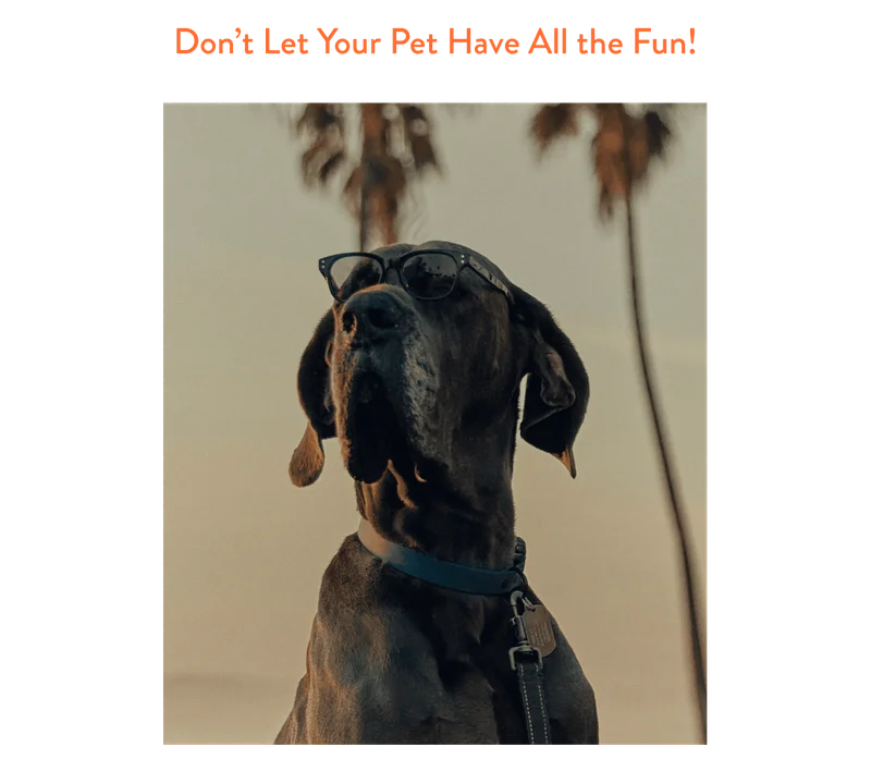 National Pet Day Sale