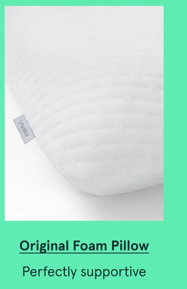 Original Foam Pillow