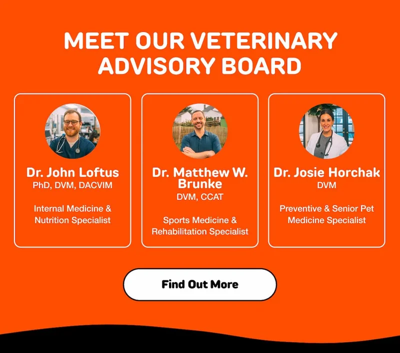 Meet our Veterinary Advisory Board