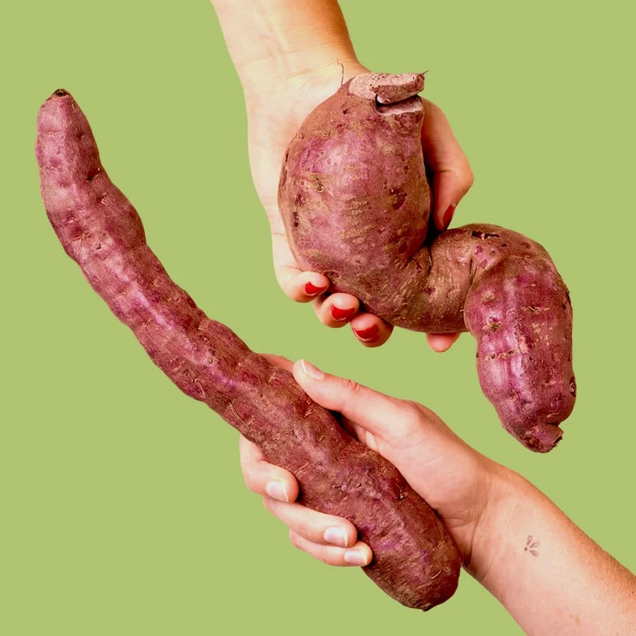 Stokes Purple sweet potatoes
