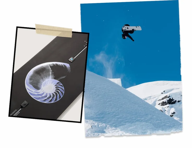Burton Family Tree Hometown Hero Camber Snowboard