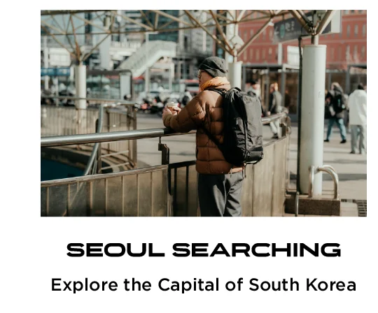 seoul searching blog