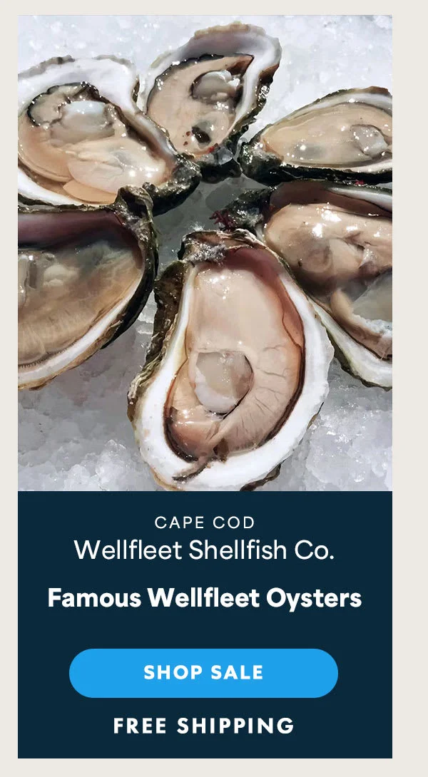 oysters oysters