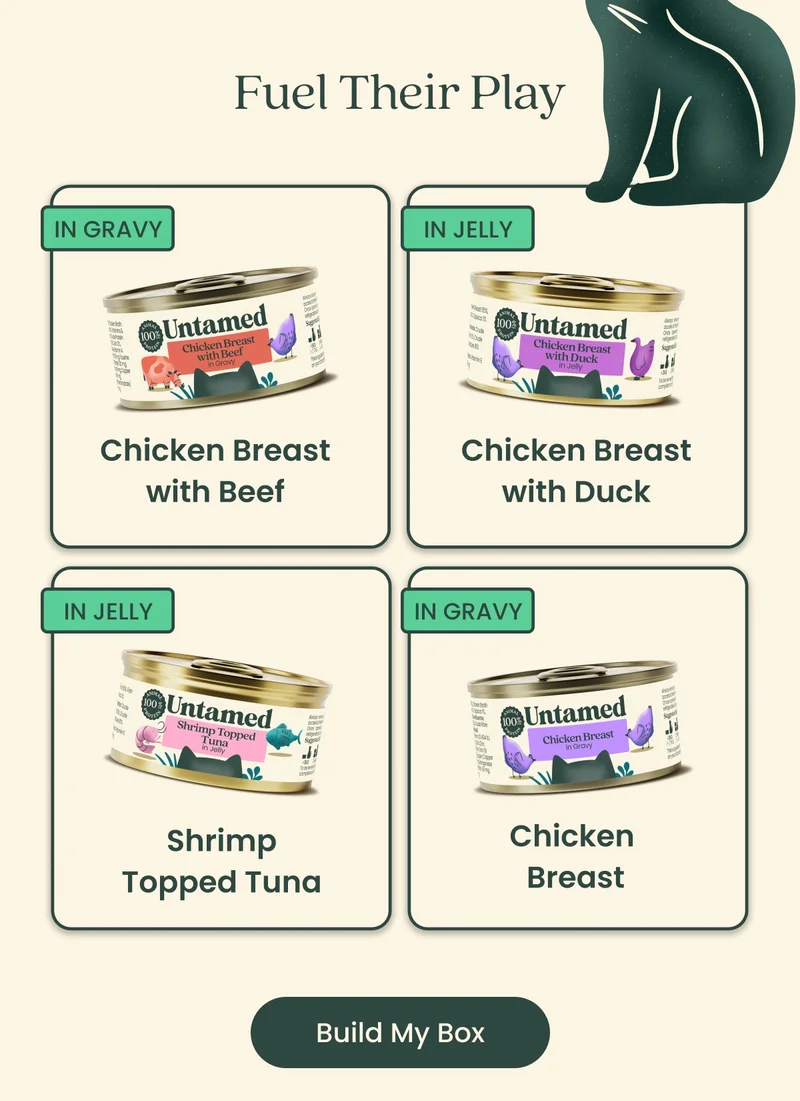 Build My Box