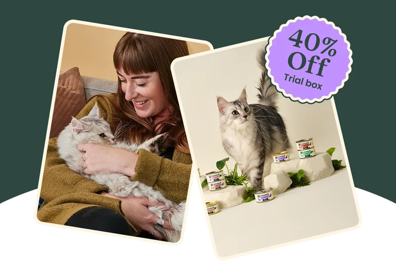 40% Off Trial box