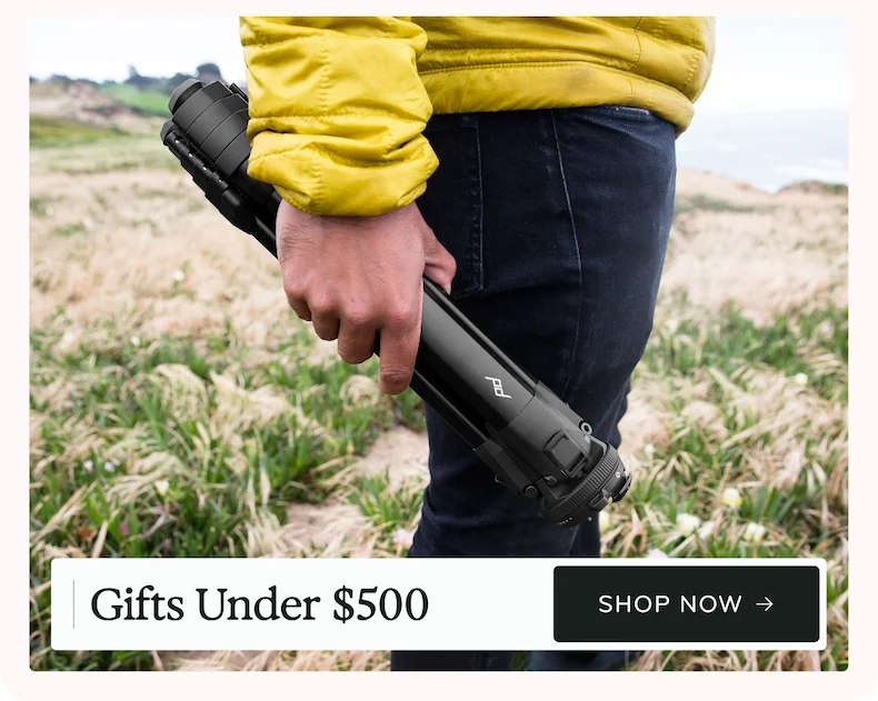Shop Gifts Under $500