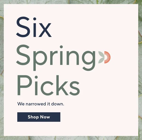 Six Spring Picks