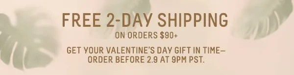 Free 2-Day Shipping On Orders $90+
