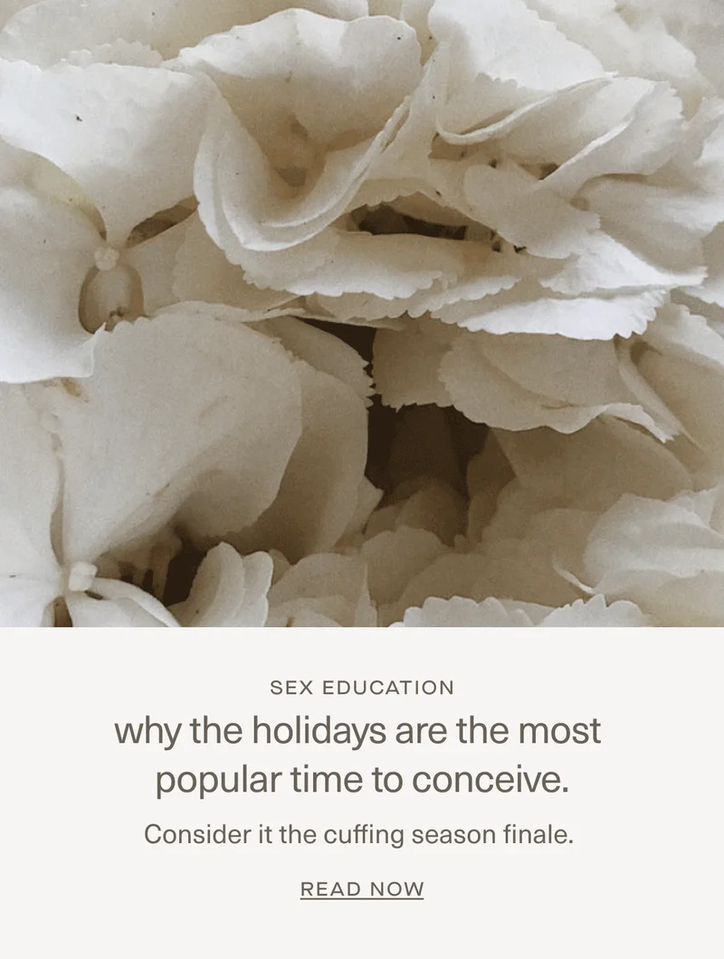 Why the holidays are the most popular time to conceive.