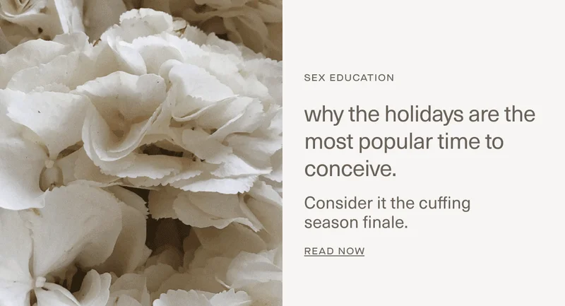 Why the holidays are the most popular time to conceive.