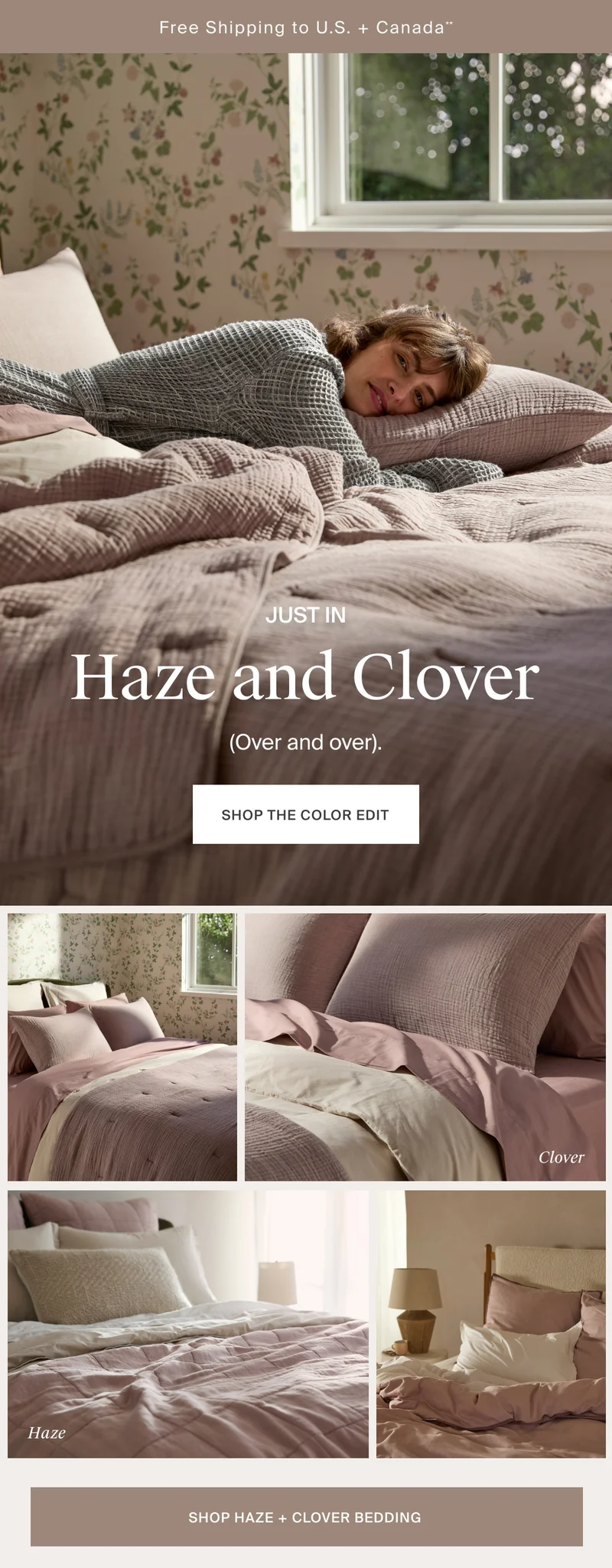 Just In: Haze and Clover | Shop Now