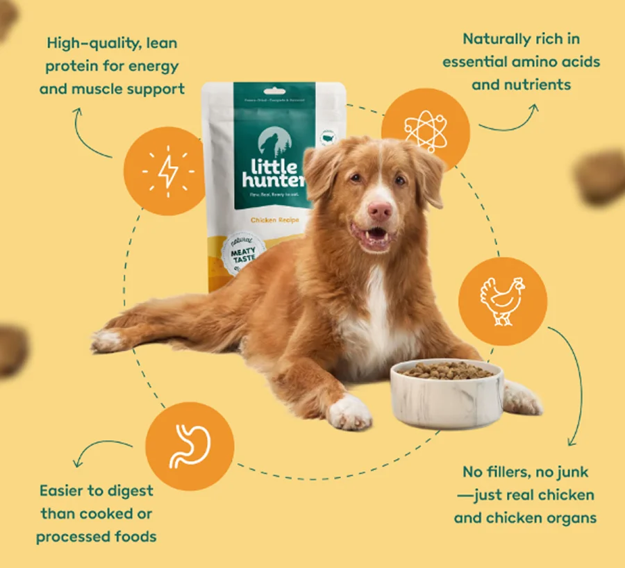Why Dogs Love Our Chicken