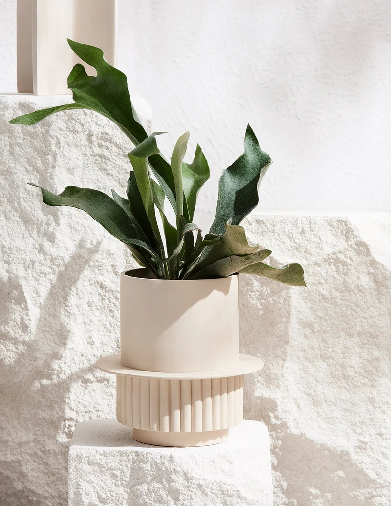Image of Roma Planter