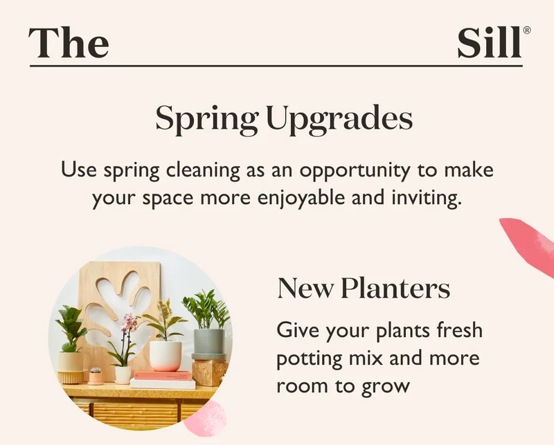 New Planters: Give your plants fresh potting mix and more room to grow.