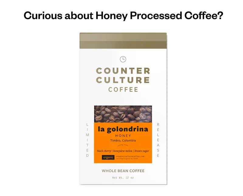 Curious about Honey Processed Coffee? La Golondrina