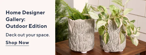 Home Designer Gallery: Outdoor Edition