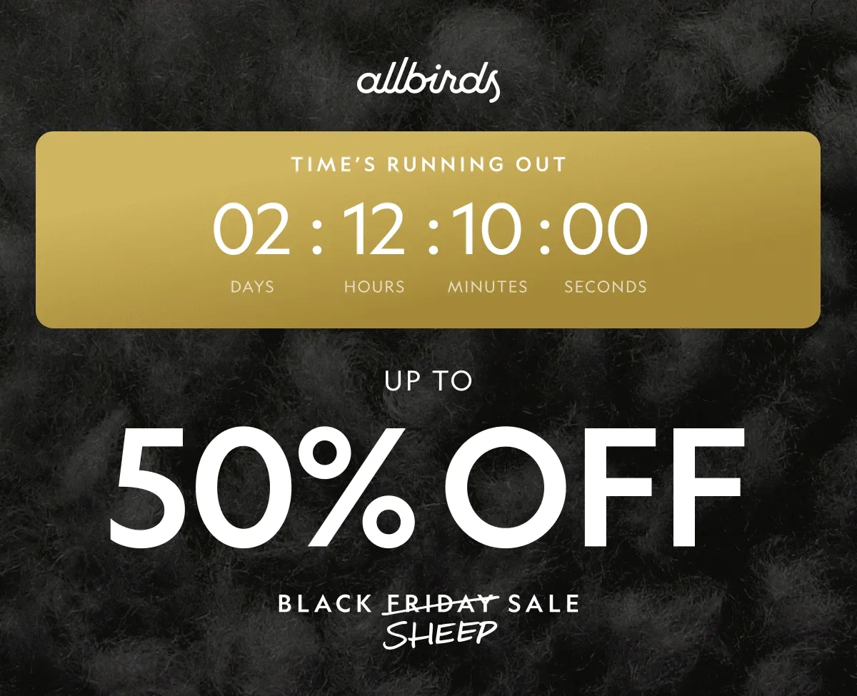 Black Friday Sale