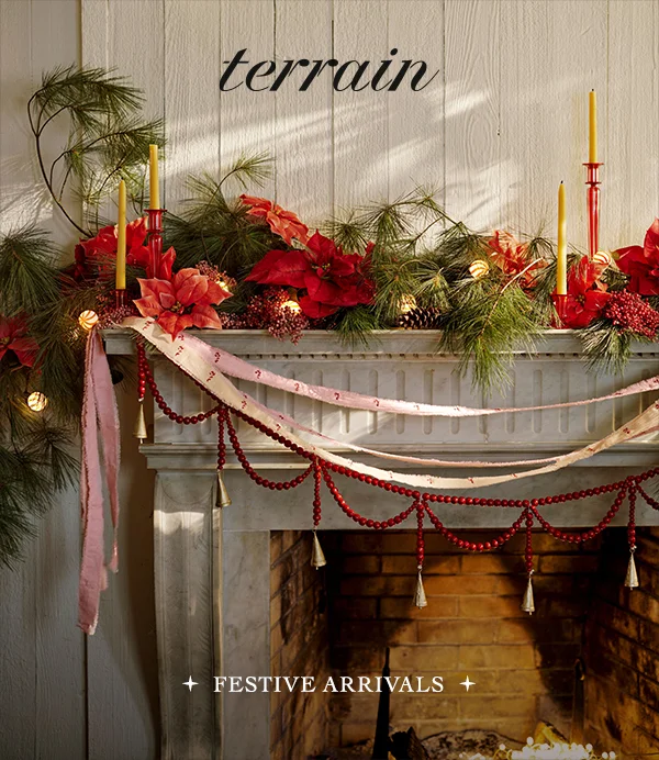 terrain festive arrivals