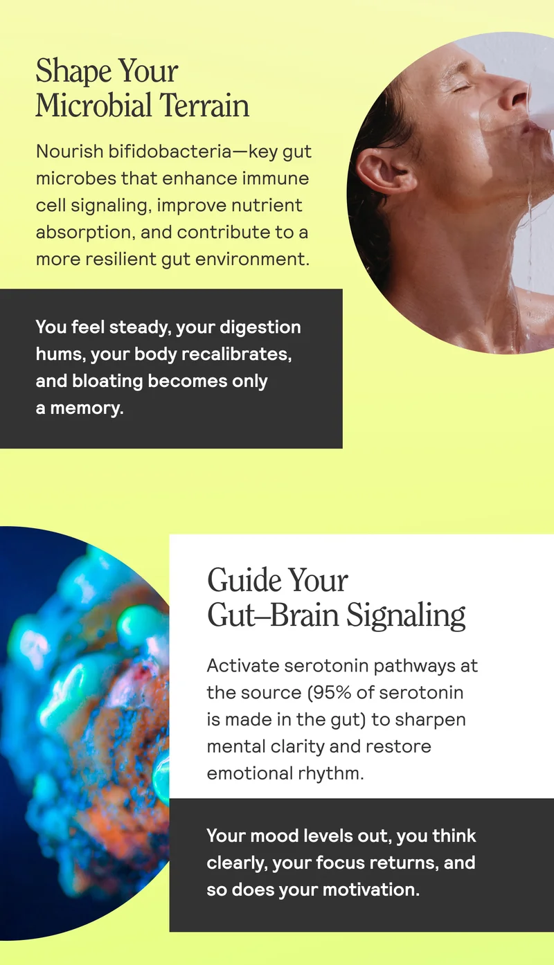 Shape Your Microbial Terrain