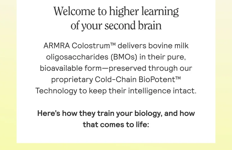 Welcome to higher learning of your second brain