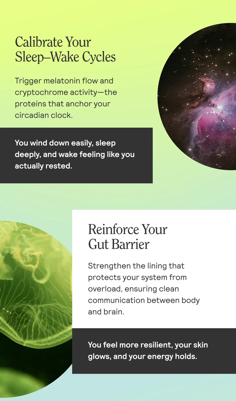 Calibrate Your Sleep-Wake Cycles