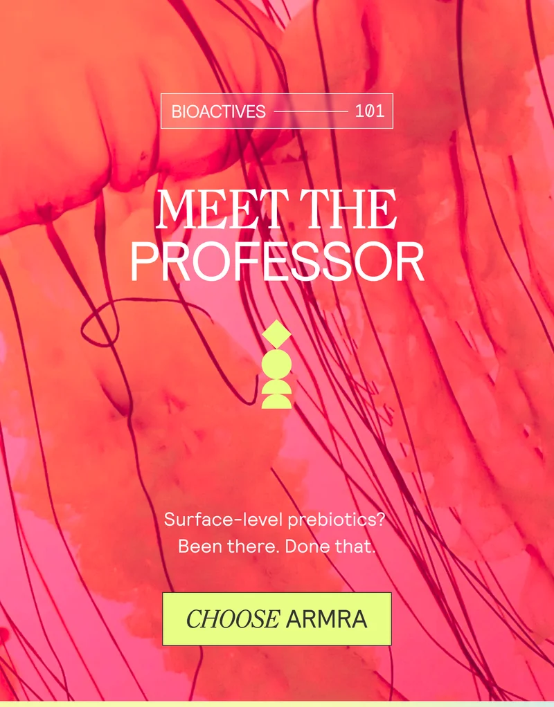 Meet the Professor
