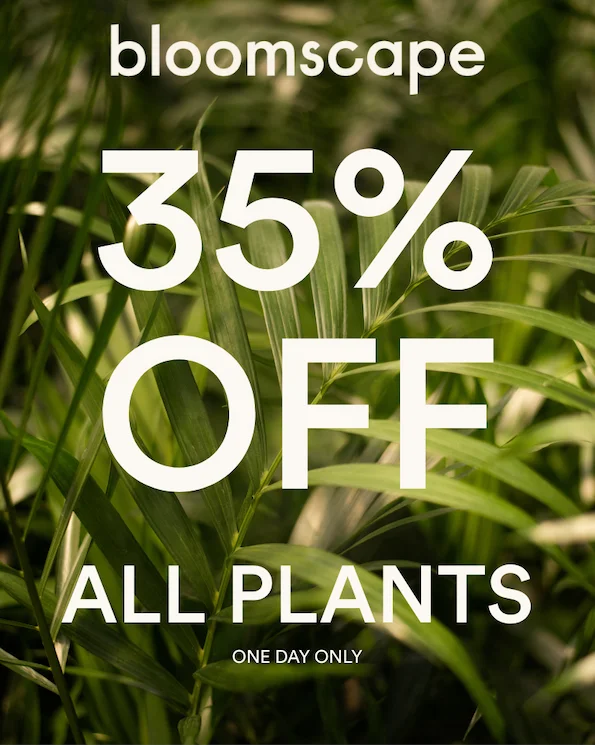 shop all plants 35% off